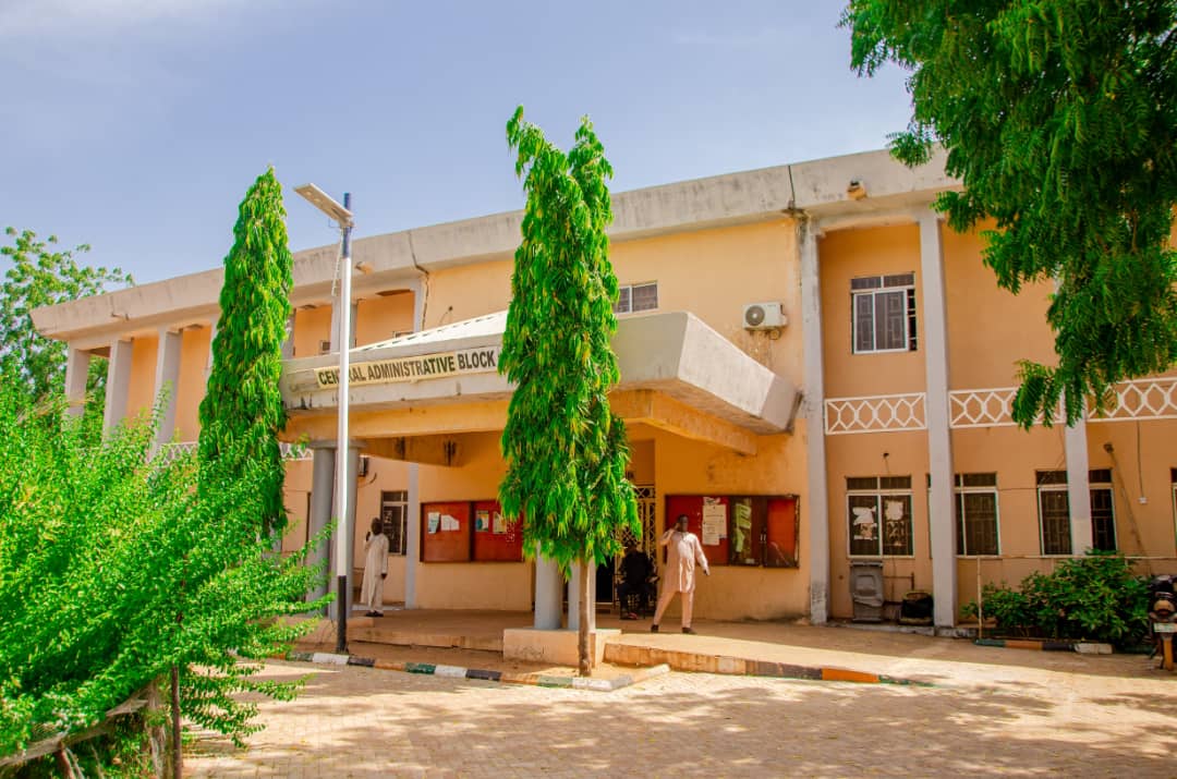 Education Background